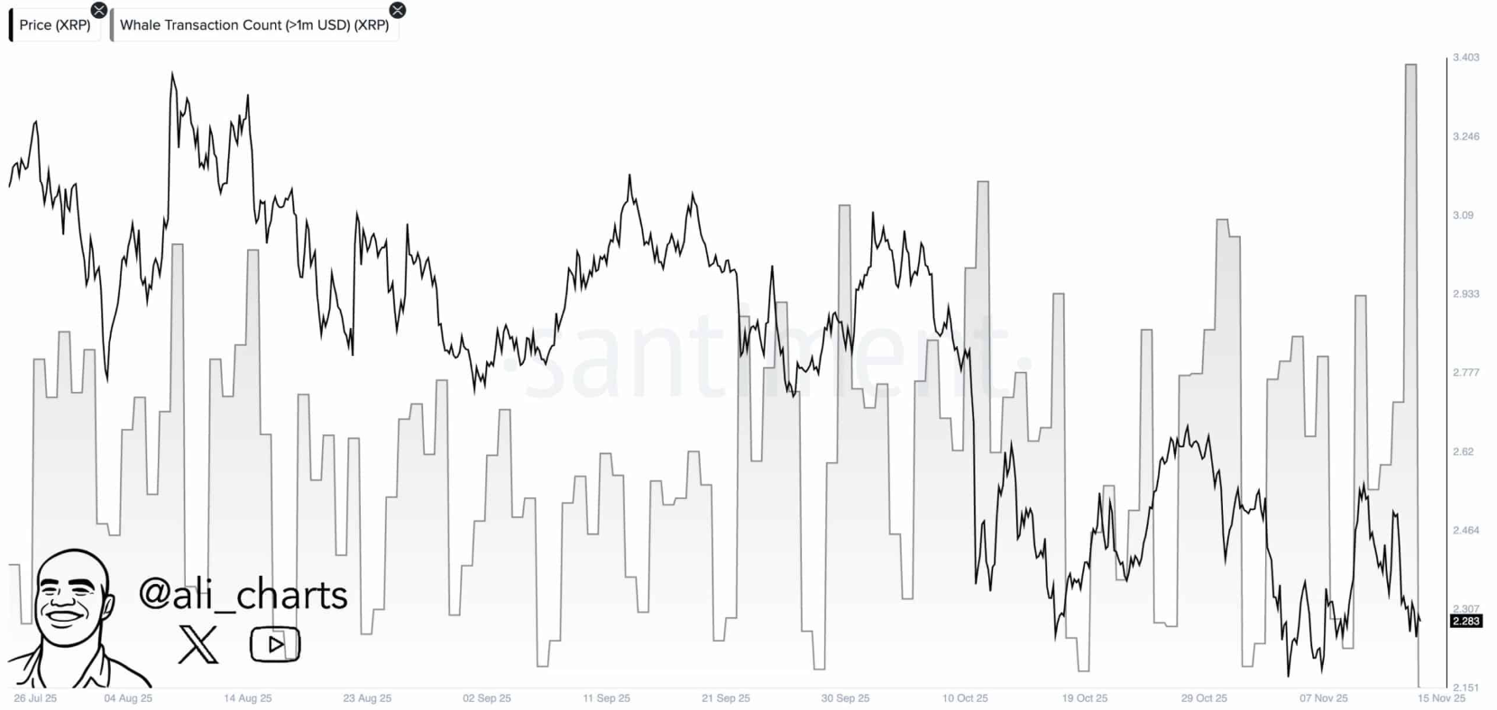 xrp-ko-bung-no1-1 xrp-ko-bung-no