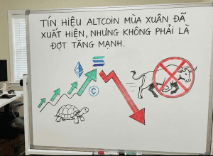 Các tín hiệu về mùa Altcoin đã xuất hiện nhưng chu kỳ này không phải là một đợt tăng giá mạnh