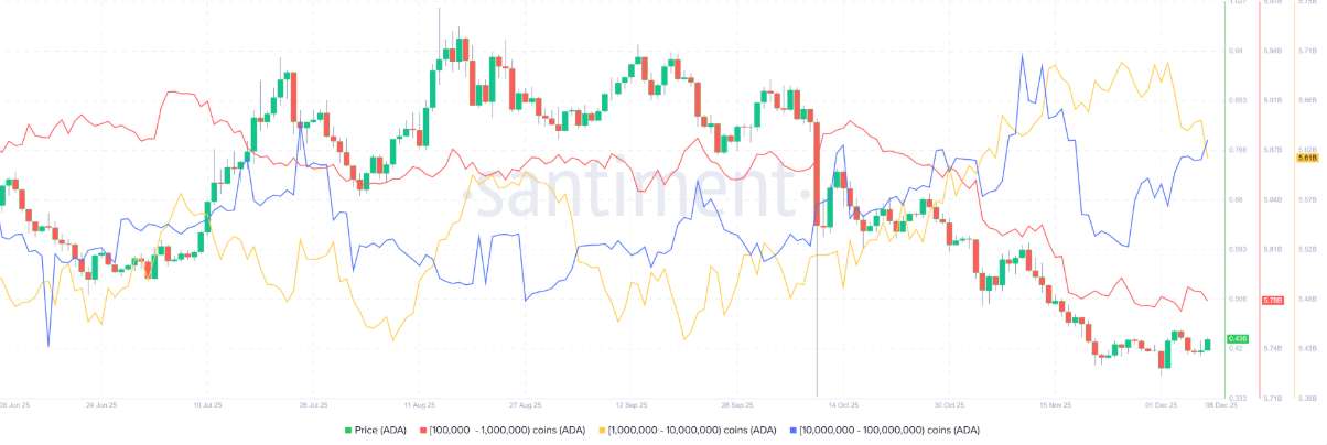 ada-on-dinh-1 ada-on-dinh