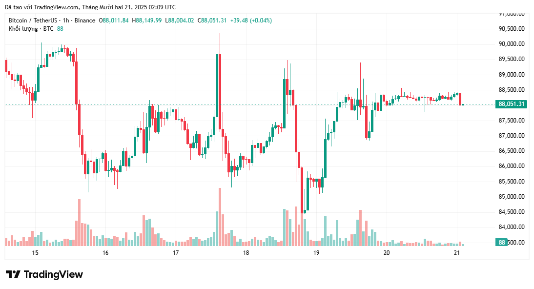 Thị trường tiền điện tử 'chưa đủ sợ hãi' để tuyên bố chạm đáy