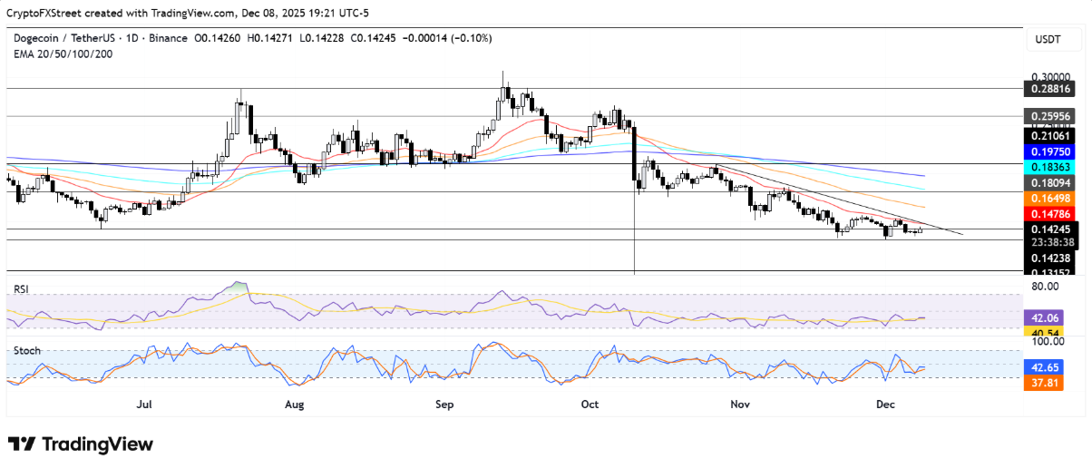 doge-shib1-1 doge-shib