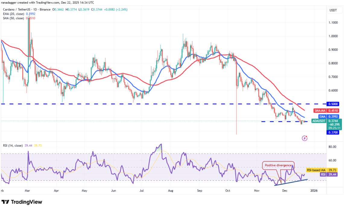 ngay-23-12-phan-tich9