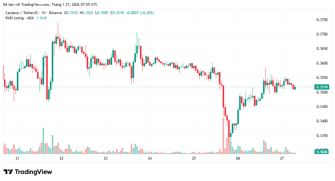 ca-voi-tang-cuong-tich-luy-ada-coinphoton-2-1 "Cá voi" tích lũy 161 triệu đô la ADA có ý nghĩa gì đối với giá?