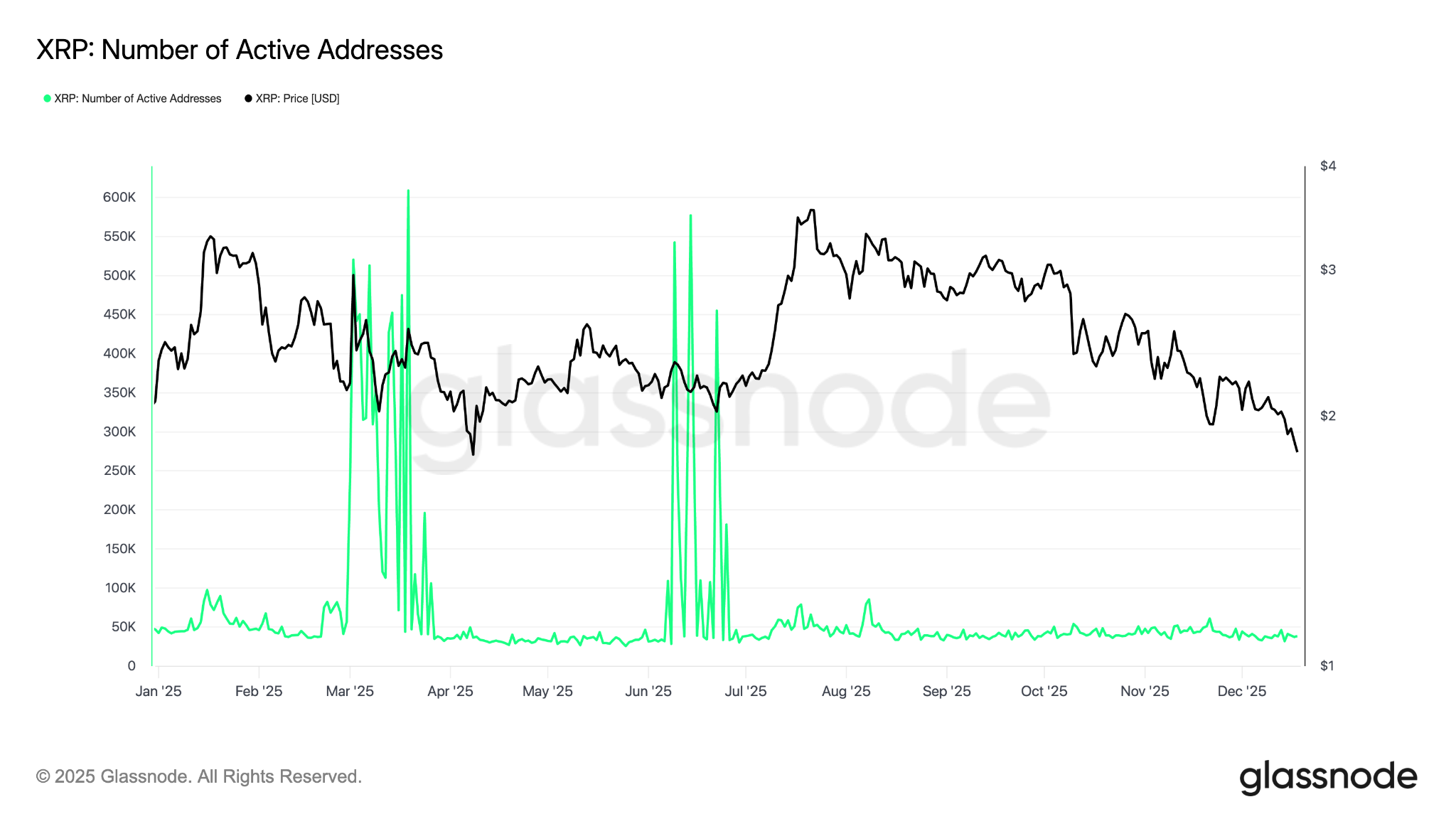 Cộng đồng XRP đã có được mọi thứ trừ mức giá 5 đô la: Liệu năm 2026 có mang lại điều đó?