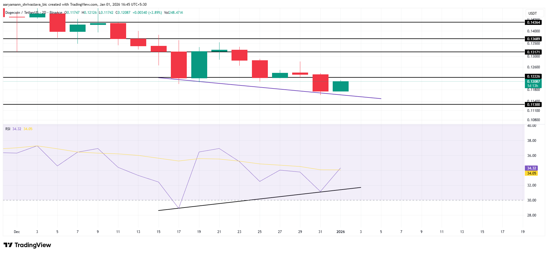 Lợi nhuận từ Dogecoin giảm xuống mức thấp nhất trong 2 năm nhưng cho thấy khả năng phục hồi