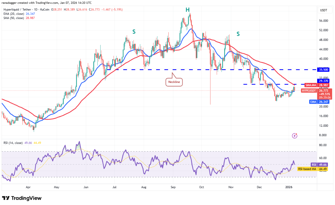 ngay-8-1-phan-tich10