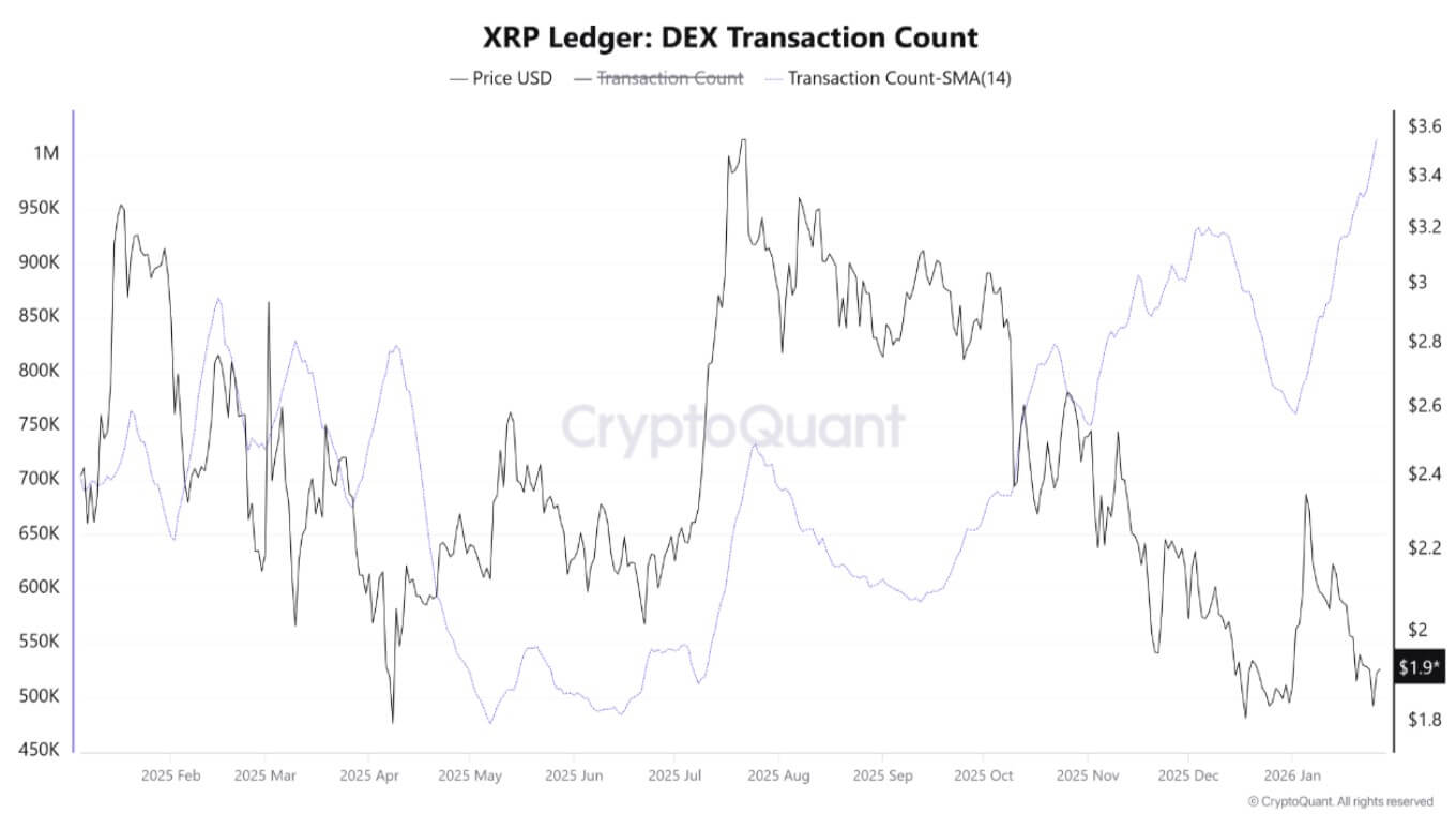 xrp-lerder-1