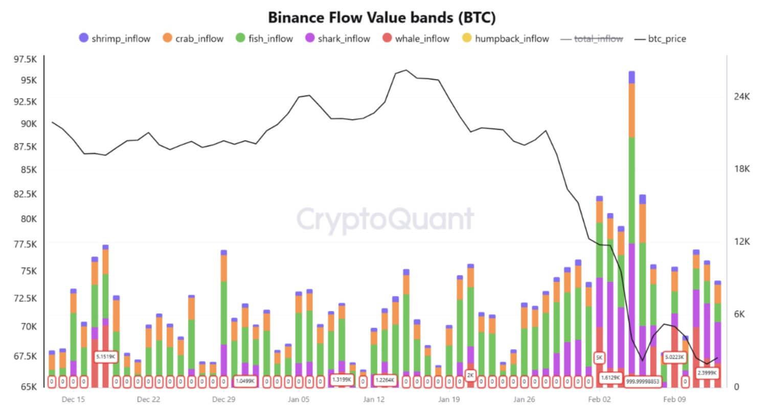 binance-flow