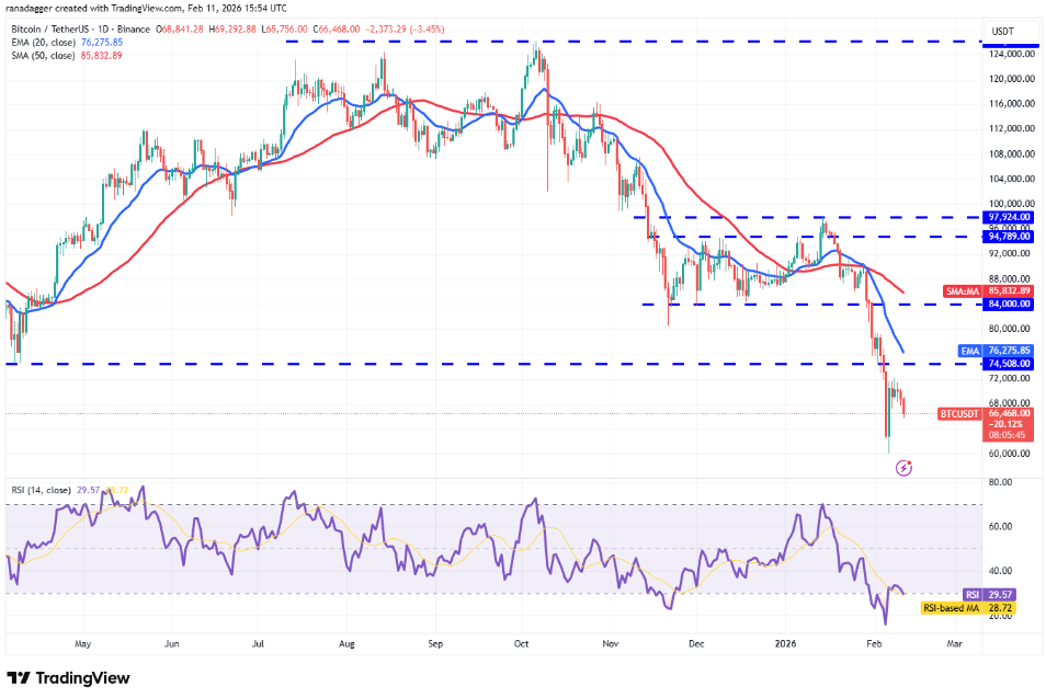 ngay-12-2-phan-tich1-1 ngay-12-2-phan-tich