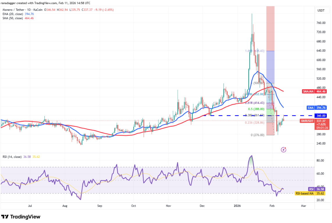 ngay-12-2-phan-tich10