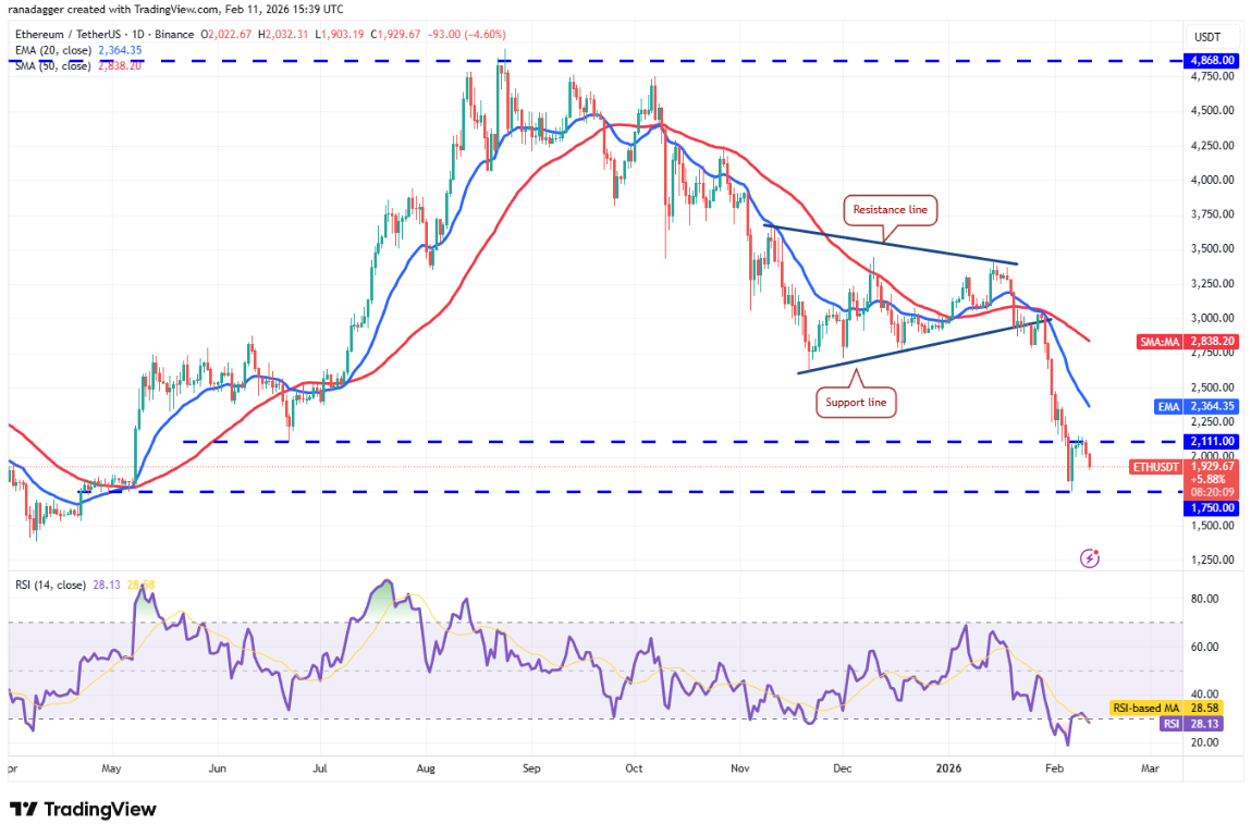 ngay-12-2-phan-tich2
