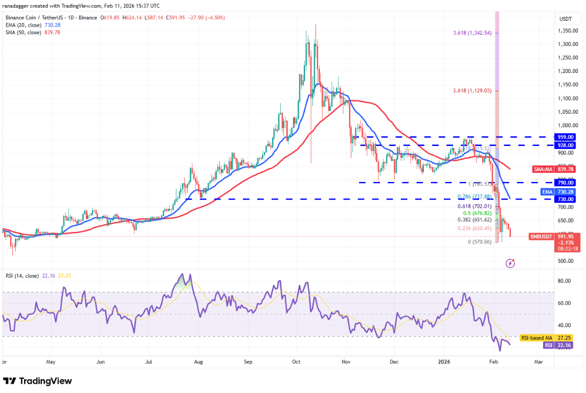 ngay-12-2-phan-tich3