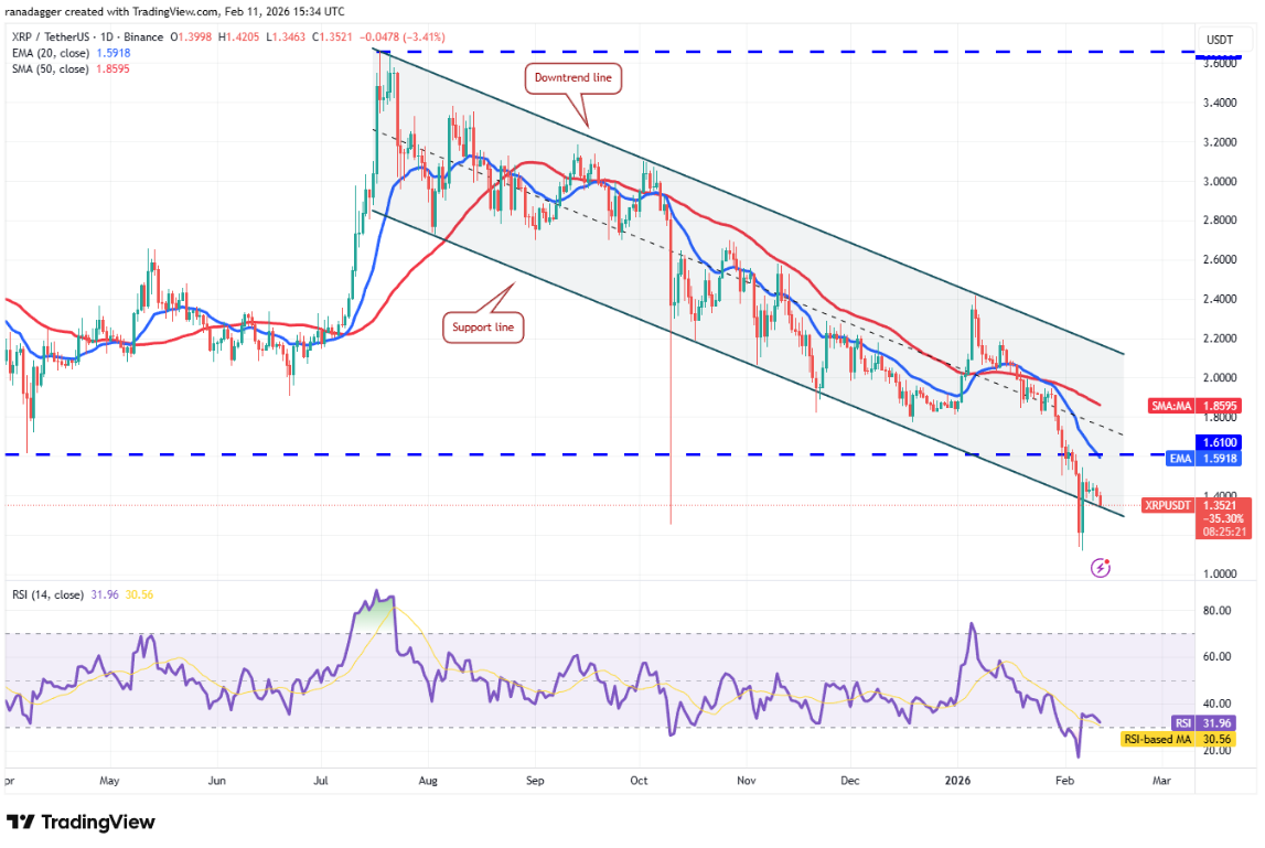 ngay-12-2-phan-tich4
