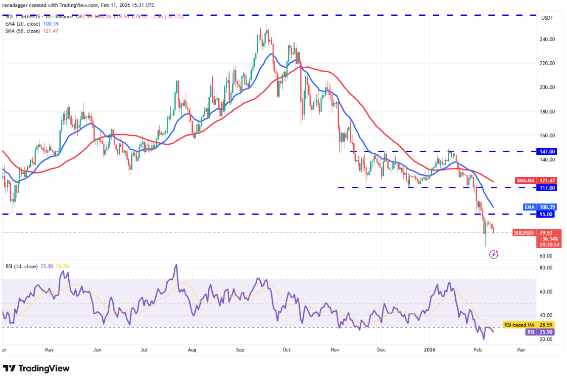 ngay-12-2-phan-tich5