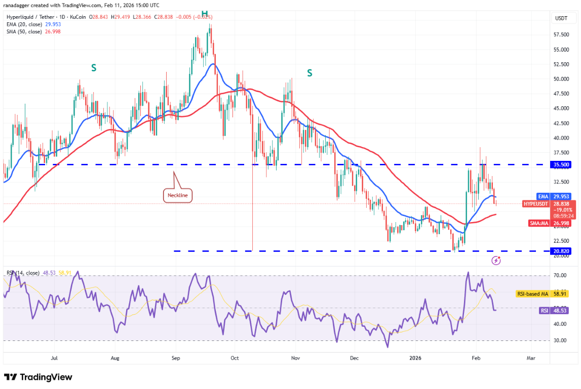 ngay-12-2-phan-tich8