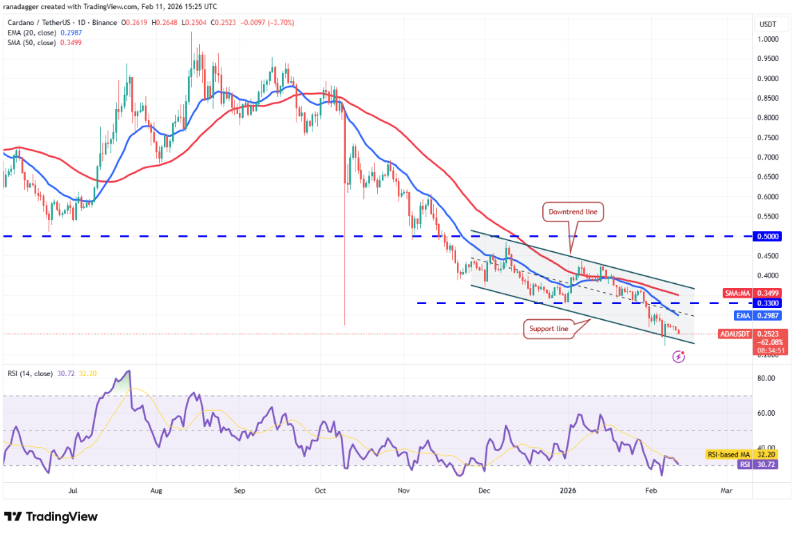 ngay-12-2-phan-tich9