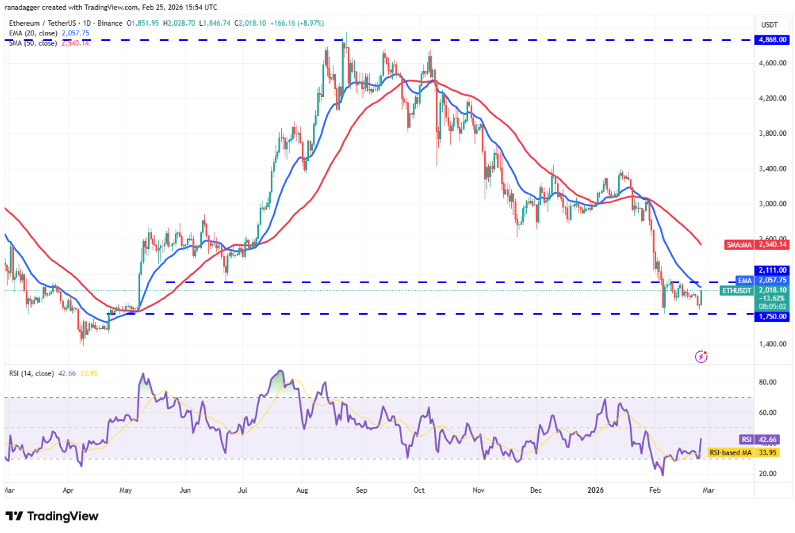 ngay-26-2-phan-tich2