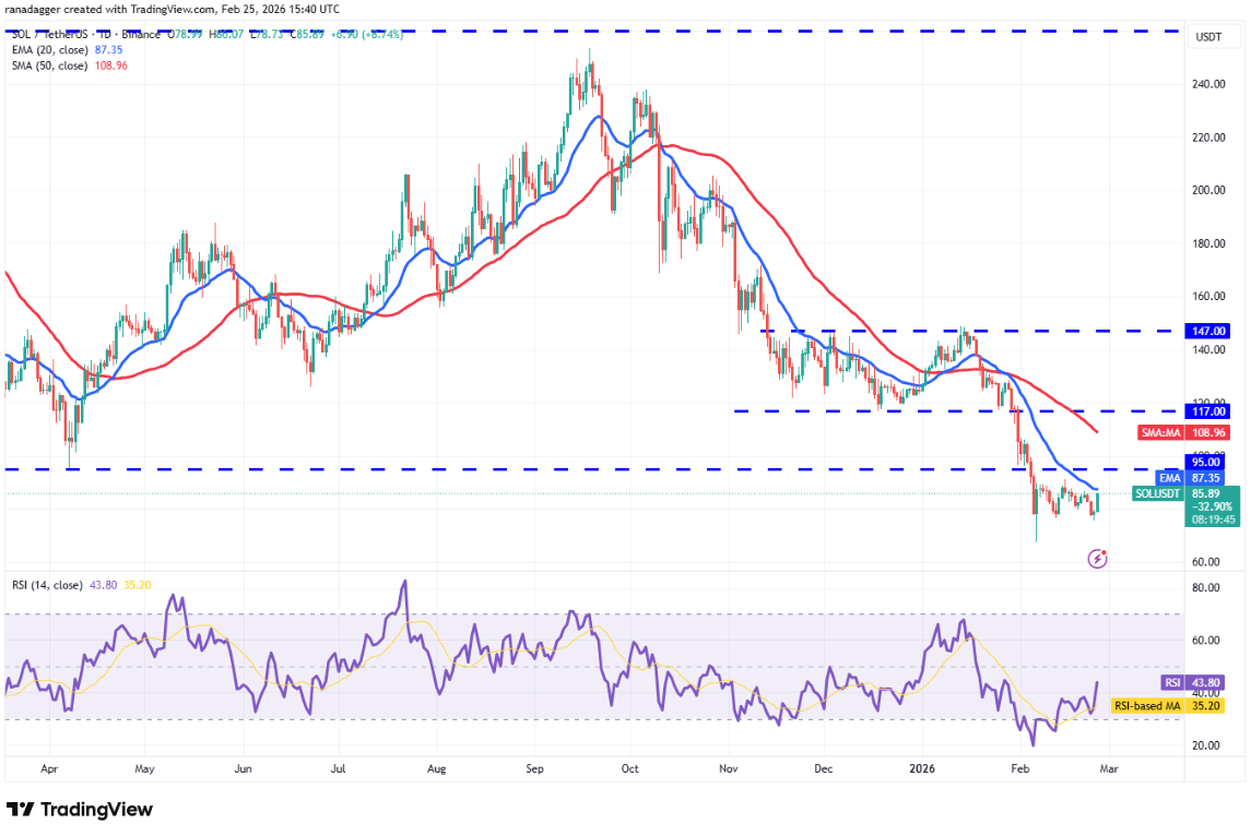 ngay-26-2-phan-tich5