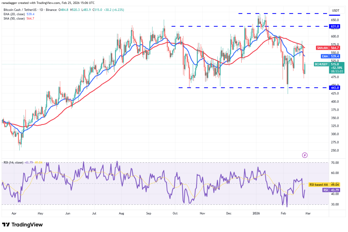 ngay-26-2-phan-tich7