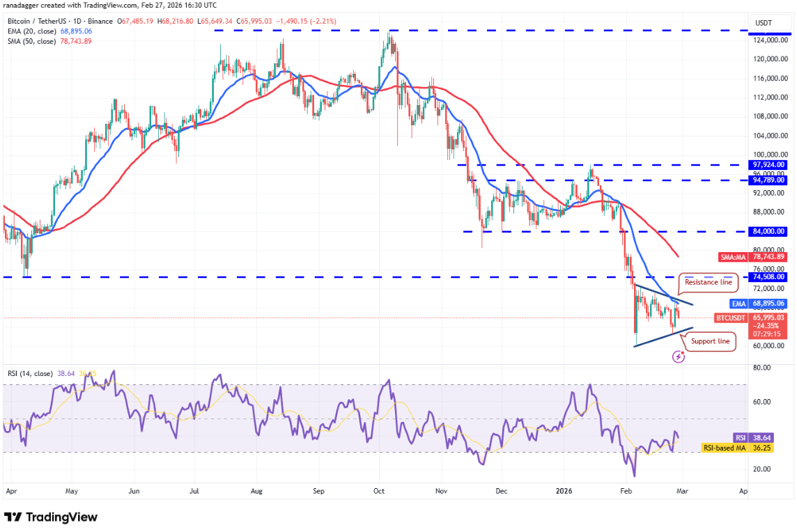 ngay-28-2-phan-tich1-1
