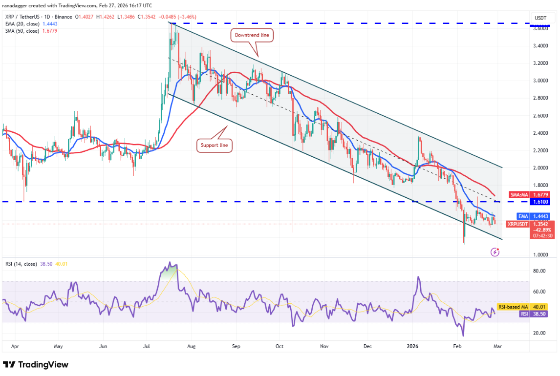 ngay-28-2-phan-tich3