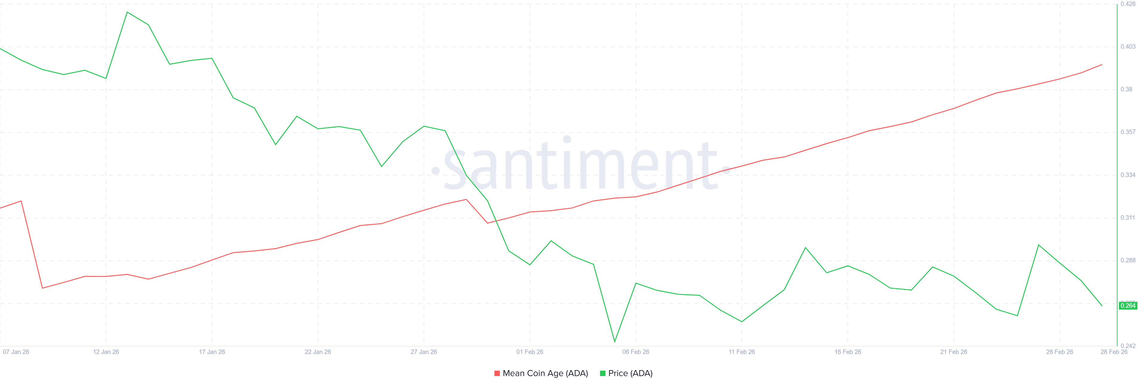 cardano-doi-mat-ap-luc-giam-gia-coinphoton Cardano đã vượt qua ngưỡng đáy của thị trường gấu – Liệu giá có thể chịu được áp lực bán ngày càng tăng?