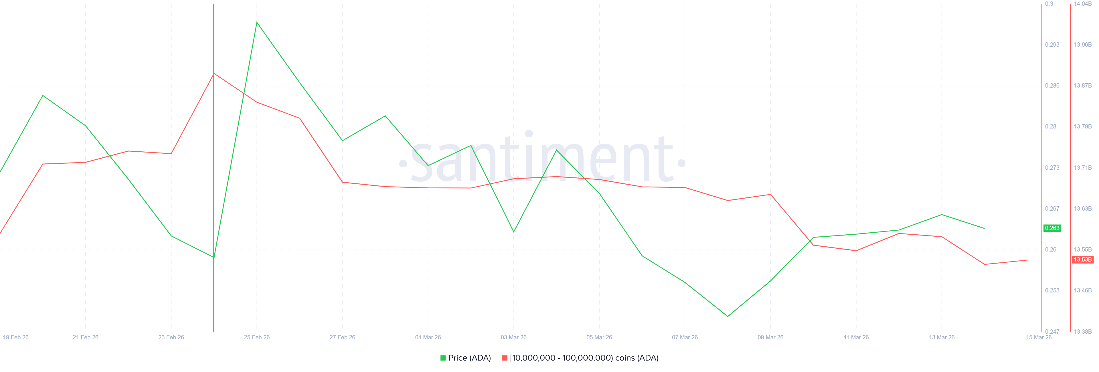 lieu-ca-voi-co-mat-niem-tin-vao-cardano-coinphoton-1 Liệu cá voi có đang mất niềm tin vào giá ADA?