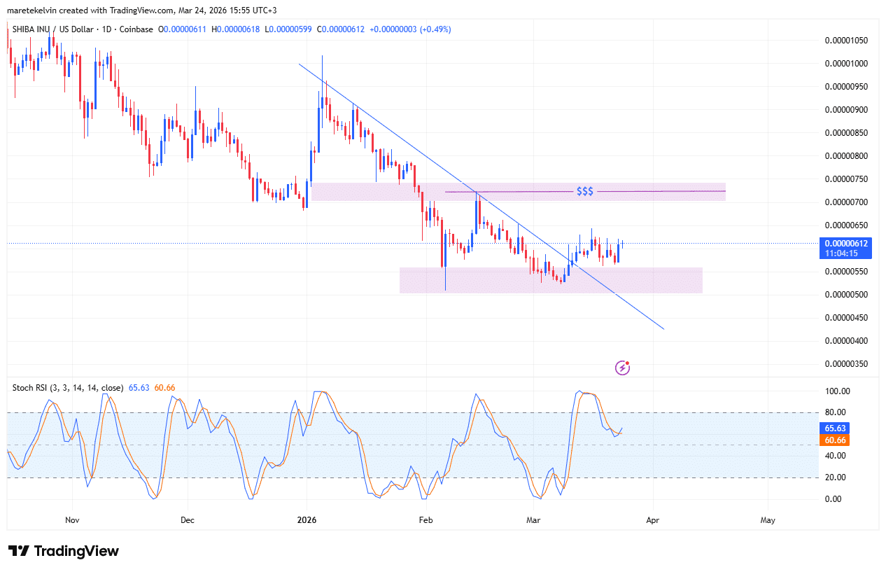 Shiba Inu vượt qua ngưỡng kháng cự quan trọng – Liệu có thể tăng lên mức 0,000065 đô la?