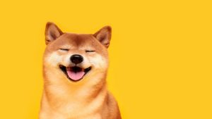 Shiba Inu tăng 36% khi nhà giao dịch Hàn Quốc thúc đẩy đợt tăng giá bí ẩn