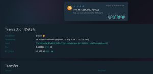 Ví bitcoin ngủ đông từ năm 2013 chuyển 31 triệu USD, và không chỉ một mình nó