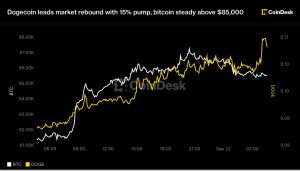 Dogecoin dẫn đầu đà phục hồi của thị trường với mức tăng 15%, bitcoin vững trên 85.000 USD