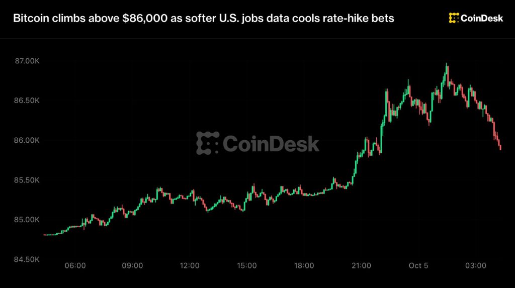 bitcoin-dao-chieu